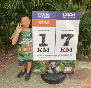 2019 Safari Zoo Run