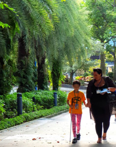 Gardens By The Bay