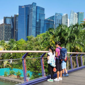 Gardens By The Bay