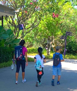 Gardens By The Bay