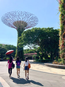 Gardens By The Bay
