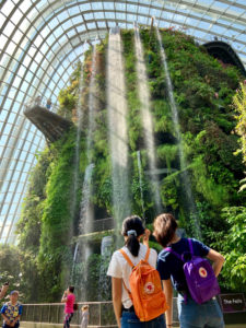 Gardens By The Bay