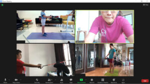 Zoom Sessions_Fundamentals of Exercise