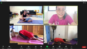 Zoom Sessions_Fundamentals of Exercise