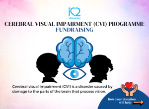 Cerebral Visual Impairment (CVI) Programme Fund