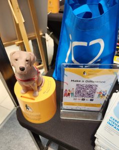 We thank GDS for giving us the opportunity to join them in creating awareness and advocating for all with visual impairment.