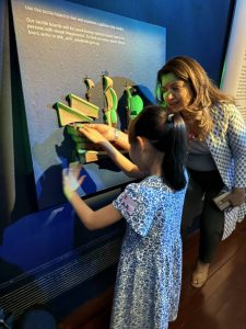 This experience was made inclusive and accessible with tactile resources, allowing our students to feel the intricate details of artifacts and connect with the stories woven into each piece.