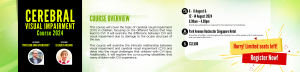 2024 Cerebral Visual Impairment Course