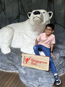 A child sitting beside a large white polar bear sculpture at the Singapore Zoo. The sculpture is positioned against a rocky backdrop, and a wooden sign in front reads “Singapore Zoo” with a red logo featuring an orangutan silhouette.
