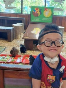 Indoor petting area at the zoo featuring several rabbits eating leafy greens placed on red trays. The enclosure has straw-covered flooring, wooden benches, and a sign with illustrations reminding visitors not to pick up or frighten the animals. A child is standing in the foreground wearing a sports jersey.